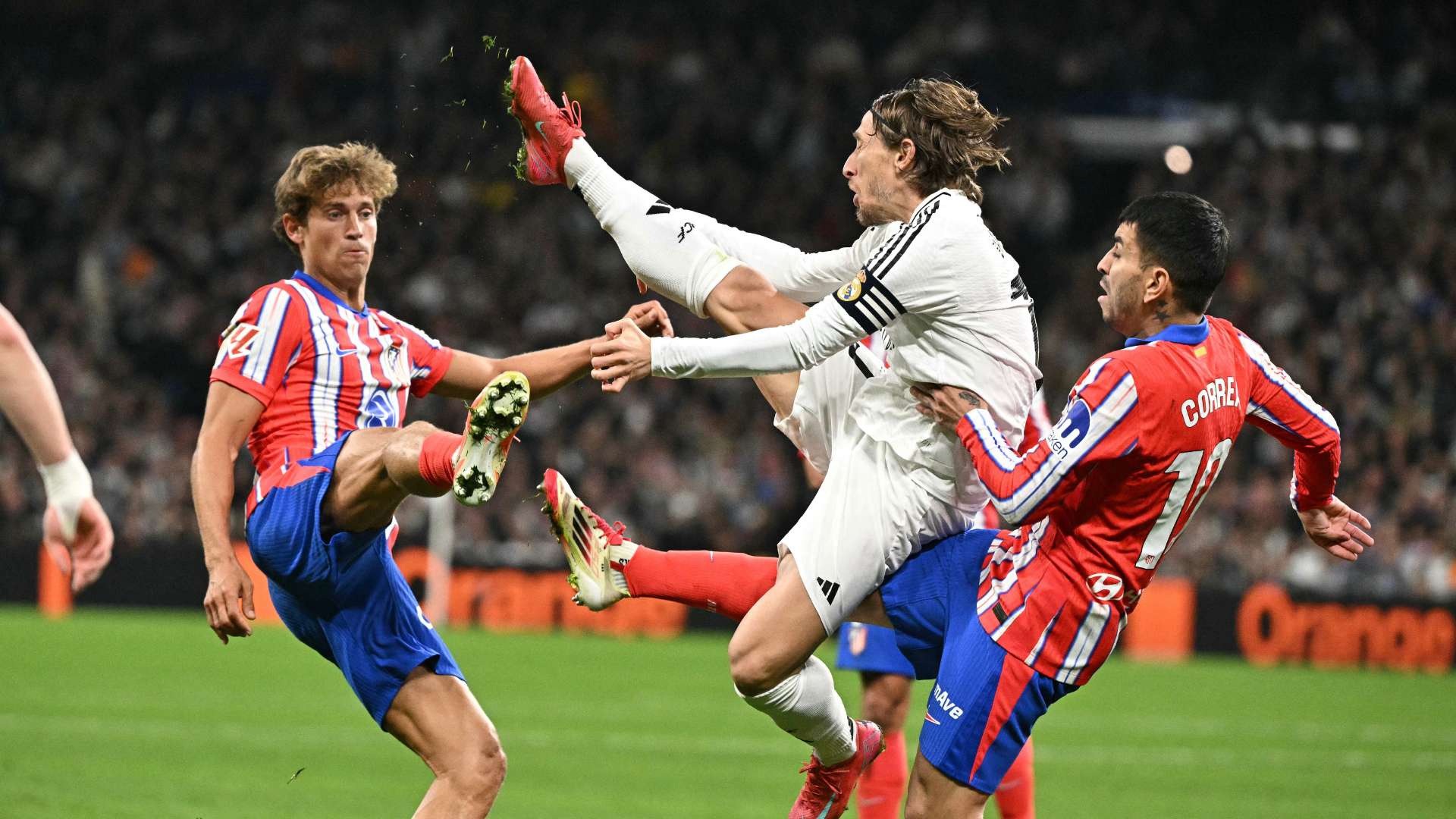 这位法国后 这位法国后