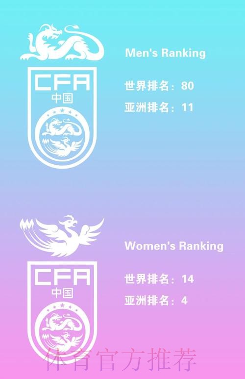 世界杯热门球队盘点与分析